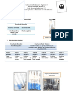 Practica 1 Hidrolisis de Carbohidratos