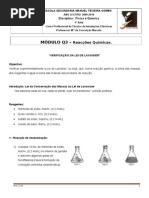 Módulo Q. 3 - Aula de Laboratório - Verificação da Lei de Lavoisier