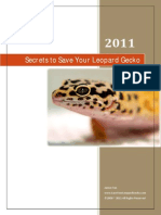 Secrets To Save Your Leopard Gecko: James Tan ©2008 2011 All Rights Reserved