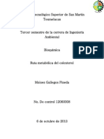 Ruta Metabolica Del Colesterol