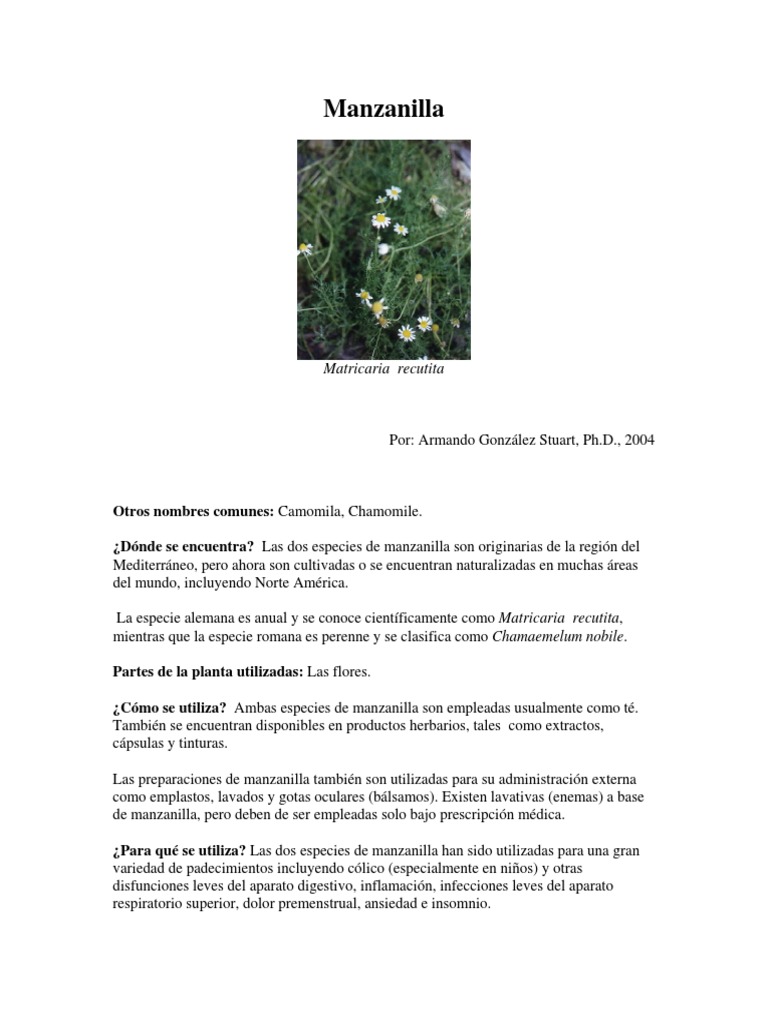 Nombre Cientifico de La Manzanilla PDF Alergia Medicina