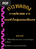 Download DNA by Fight Fiona SN174027825 doc pdf