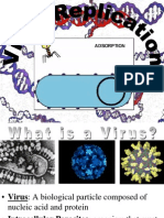 Viruses and Intracellular Parasites