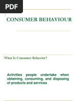 Basic Concepts of Consumer Behaviour 