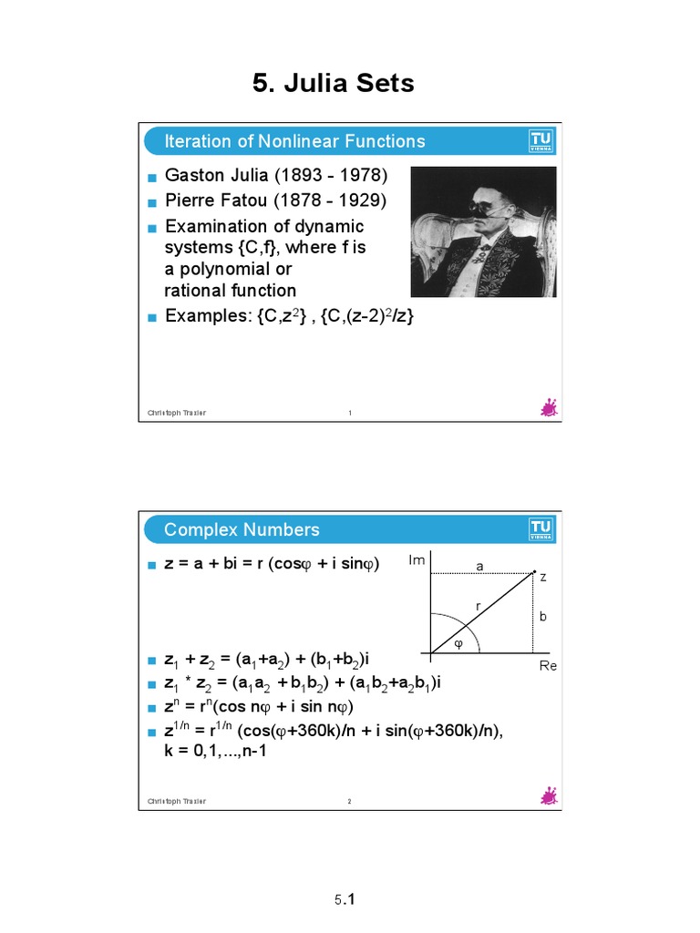 Julia Sets and Dynamic Systems | PDF