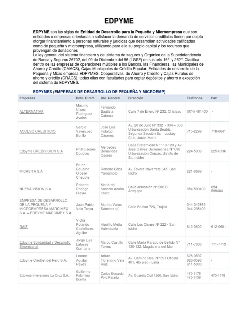 EDPYME QUE ES visual data 6