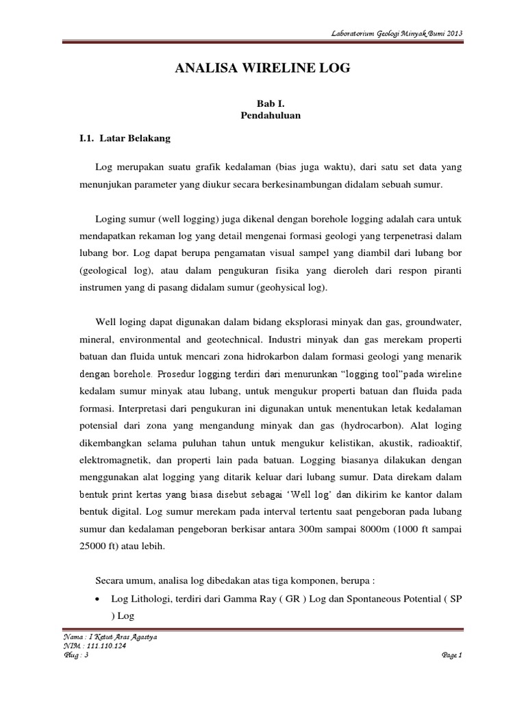 Laporan Wireline Log Aras Jadi Pdf