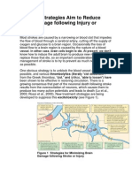 Different Strategies Aim To Reduce Brain Damage Following Injury Stroke