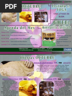 Download NEWSLETTER OCTUBREpdf by Padmasana Center SN174104188 doc pdf