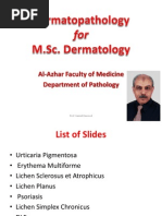 Download Dermatopathology Slides of Prof Gamal Dawood professor of pathology Al-Azhar Faculty of Medicine  by Gamal Dawood SN174107711 doc pdf