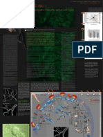 Spinal Cord Injury Dendritic Spines Poster 1