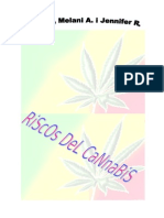 Etica, Riscos Del Cannabis