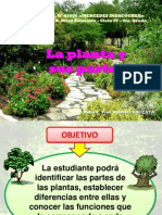 La Planta y Sus Partes