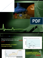 Monitorizare Bloc Neuromuscular