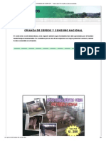 CRIANZA de CERDOS - Todo Sobre Porcicultura y Asesoramiento