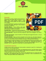 Zucca PDF