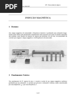 Inducao Magnetica