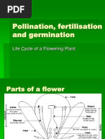 Pollination, Fertilisation and Germination