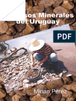 15 Mirian Perez - Recursos Minerales Del Uruguay