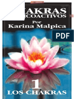 CHAKRAS Y PSICOACTIVOS I - Por Karina Malpica