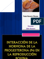 Paula Navarro Macana P4