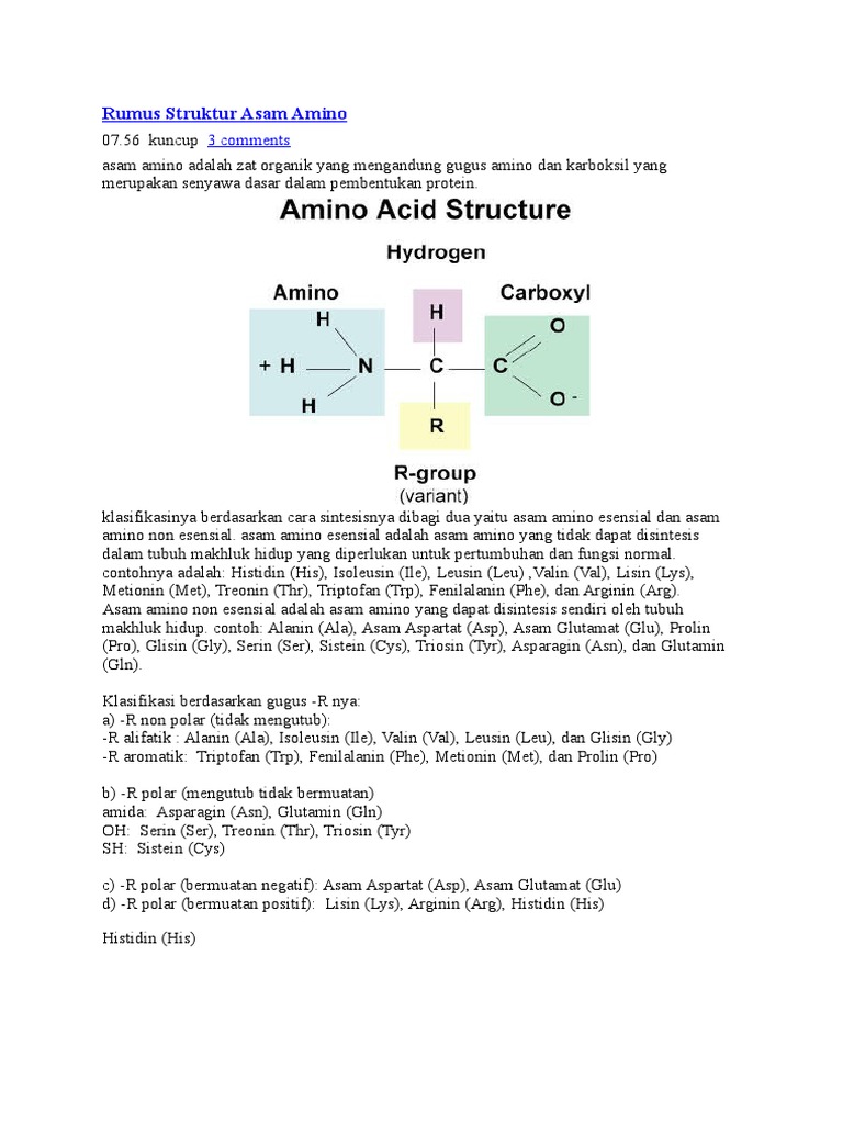 Rumus Struktur Asam Amino