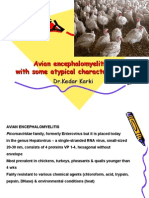 Avian Encephalomyelitiswith Some Atypical Characteristics