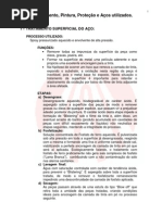 Tratamento, pintura e protecÌ§aÌƒo.pdf