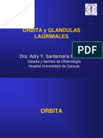Orbita y Glandulas Lagrimales