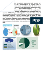 Feria Cientific