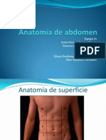 Anatomia de Abdomen