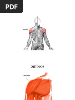 avaliação postural