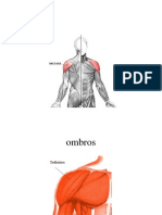 Avaliação Postural