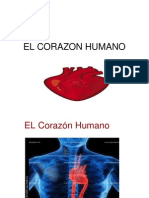 El Corazon Humano (1)