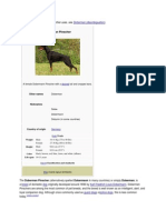 Doberman Pinscher: Doberman" Redirects Here. For Other Uses, See