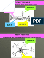 Slide Modul Sains