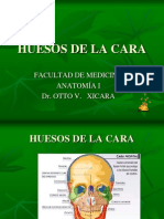 1o. Huesos de La Cara