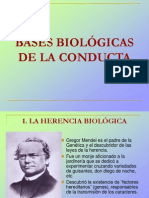 Bases Biologicas de La Conducta