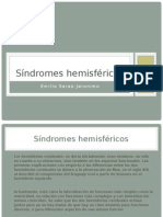 Síndromes hemisféricos: clasificación y manifestaciones clínicas