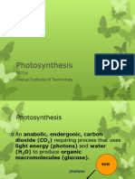 Photosynthesis