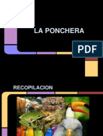 Zoolgico La Ponchera