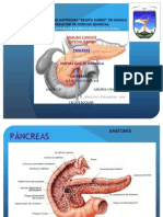 Pancreas