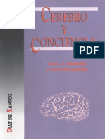 Cerebro y Conciencia