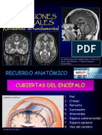 Poster Hernias Cerebrales. Seram 2010