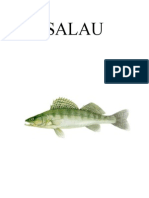 SALAU