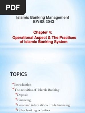 Ibm Ch4 Pdf Islamic Banking And Finance Credit Card
