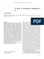 Cloning of Epra1 Gene of Aeromonas Hydrophila In: Lactococcus Lactis