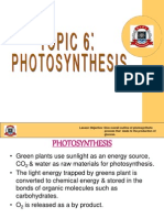 6. Photosynthesis