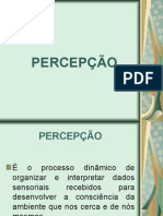 3290646-Percepcao-ppt