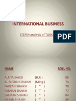 International Business: STEPIN Analysis of TURKEY
